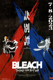 Bleach Poster (24"x36") The Poster Depot