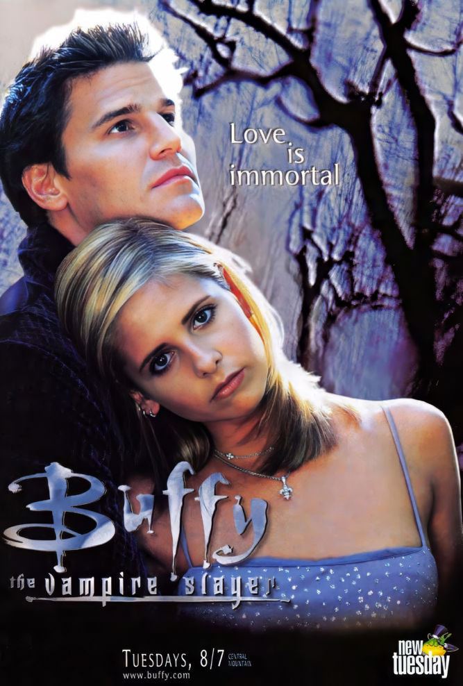 Buffy The Vampire Slayer  Poster 16x24 16"x24"