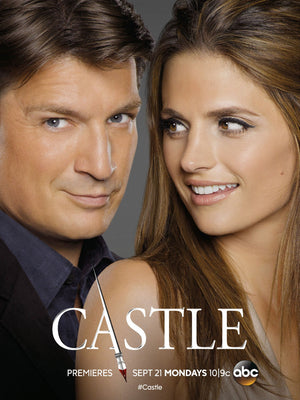 Castle Poster 24x36 The Poster Depot