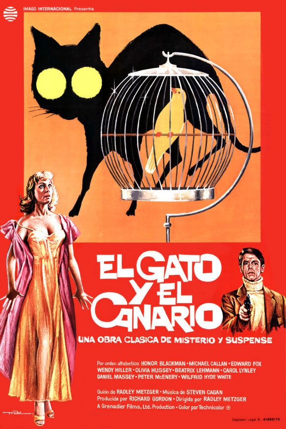 The Cat And The Canary Movie Poster Spanish - 27x40