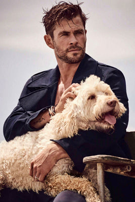 Chris Hemsworth Poster 27x40 The Poster Depot