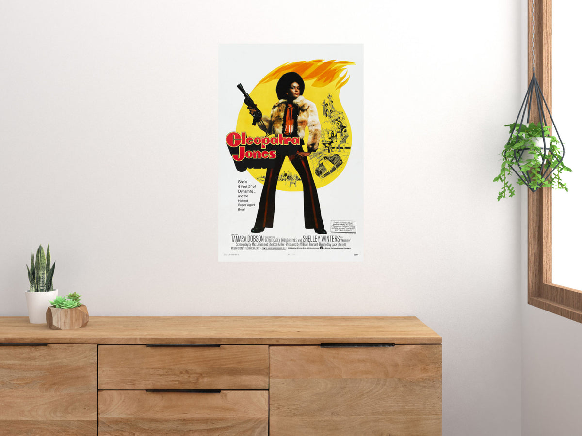 Cleopatra Jones Movie Poster 24x36 24inx36in The Poster Depot