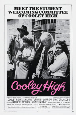 Cooley High  Movie Poster 16x24 16"x24"