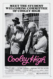 Cooley High  Movie Poster 16x24 16"x24"
