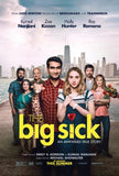 Big Sick 11x17 poster for sale cheap United States USA