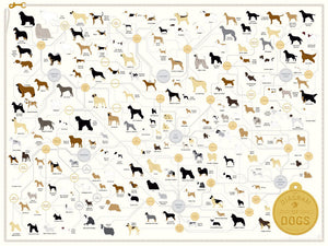 Dog Breeds Diagram Groups Poster On Sale United States