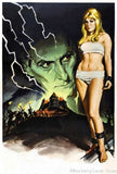 Frankenstein Created Woman 11x17 poster art for sale cheap United States USA