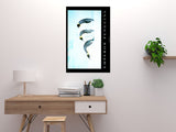 Emperor Penguins Poster (11"x17") The Poster Depot
