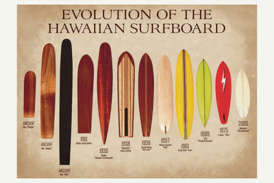 Evolution Of Surfboards  Poster 11in x 17in