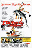 Flipper's New Adventure Movie Poster (24"x36") The Poster Depot