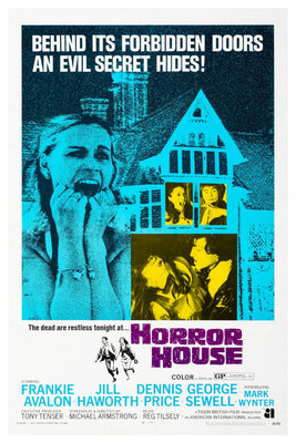 Horror House Movie Poster 24x36 The Poster Depot