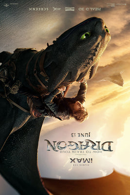 How to Train Your Dragon Movie Poster 16"x24" The Poster Depot