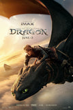 How to Train Your Dragon 2 Movie Poster (11"x17") The Poster Depot