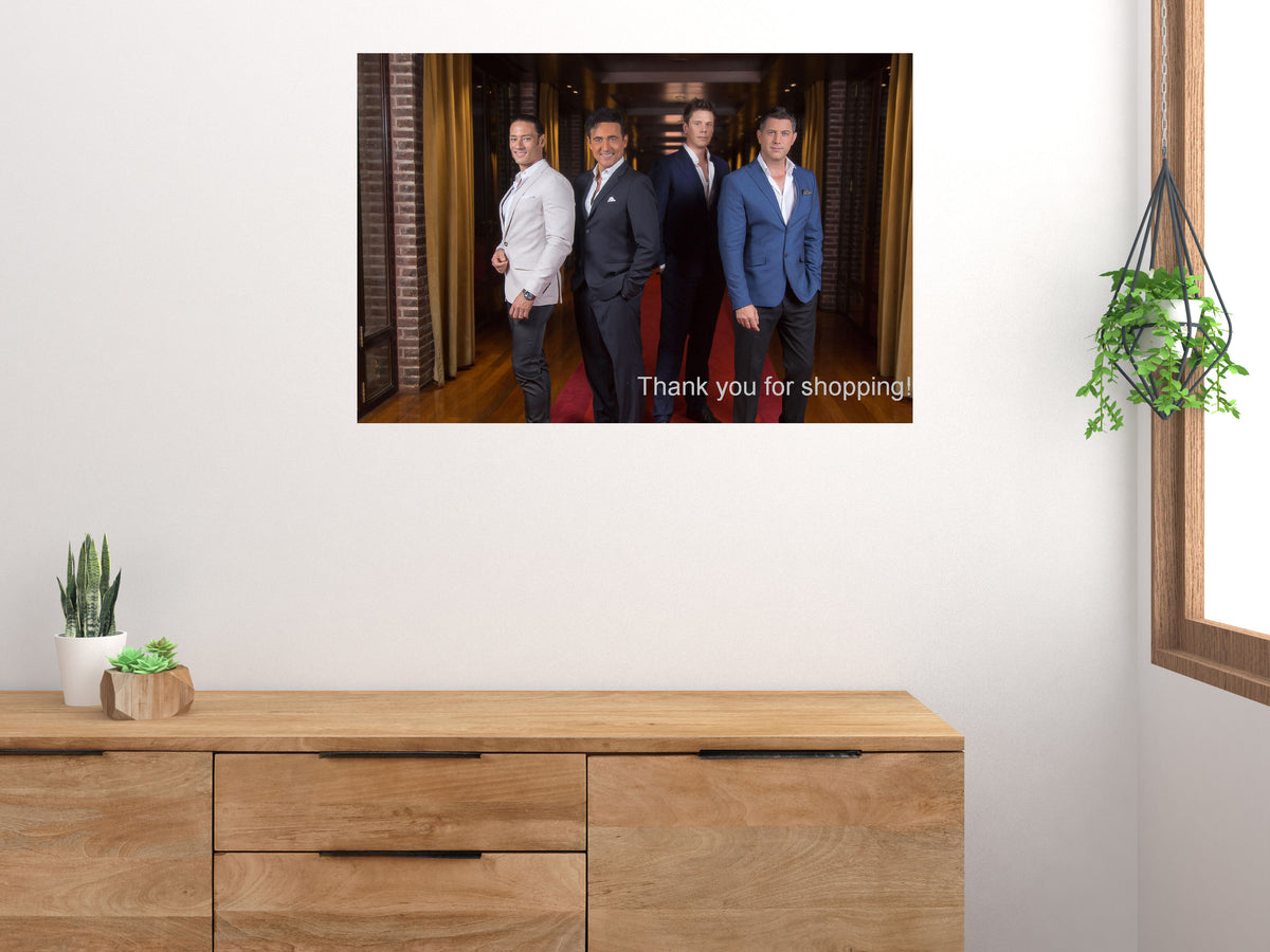 Il Divo Movie Poster 27x40 27"x40" #5012401 The Poster Depot