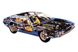 Lamborghini Espada Cutaway  Poster 16x24 16"x24"