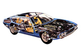 Lamborghini Espada Cutaway  Poster 24x36 24"x36"