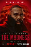 The madness Poster 16x24 