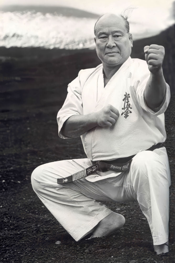 Mas Oyama  Poster 16x24 16"x24"