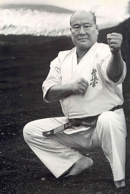 Mas Oyama  Poster 27x40 27"x40"