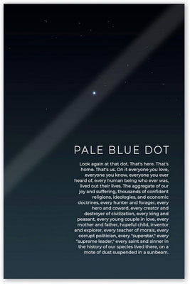 Pale Blue Dot Poster 16x24 16inx24in The Poster Depot