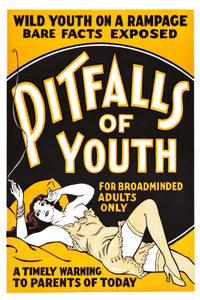 Pitfalls Of Youth Movie Poster 16"x24" 16inx24in