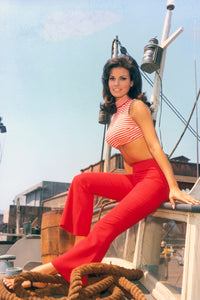 Raquel Welch #B Poster 11"x17"