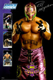 ray mysterio Poster 11x17 