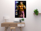 Ray Mysterio Poster 24x36 24"X36" Poster
