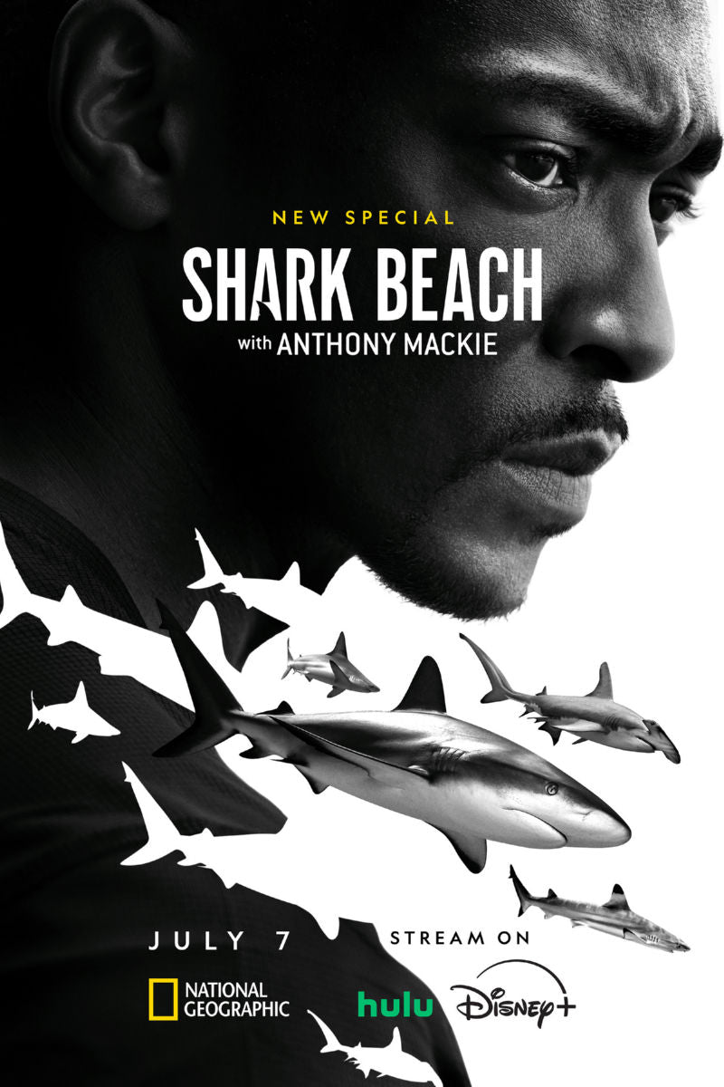 Shark Beach With Anthony Mackie Poster 16x24 16"x24" Poster The Poster Depot