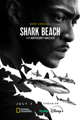 Shark Beach With Anthony Mackie Poster 16x24 16"x24" Poster The Poster Depot