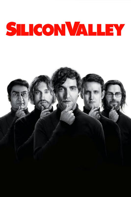 Silicon Valley Poster 16x24 Inch Print Wall Art Decor The Poster Depot