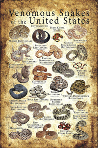 Venomous Snakes of the USA Chart Poster 11"x17"