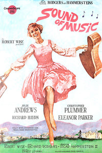 Sound Of Music Movie Poster - 16x24