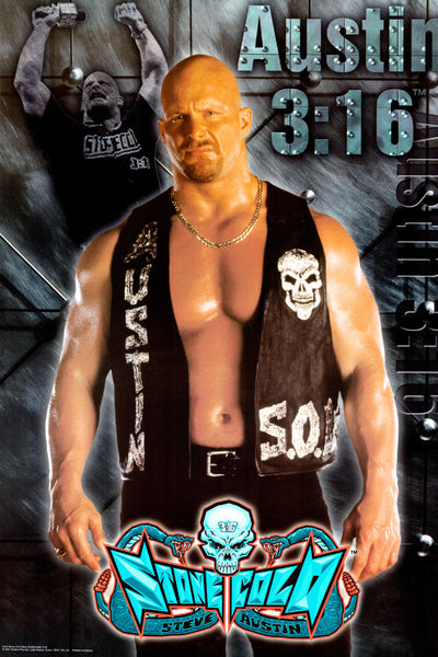 一*斗様 STONE  アーカイブ展示会レアポスター Steve Austin Stone Cold Poster 16x24 on Sale