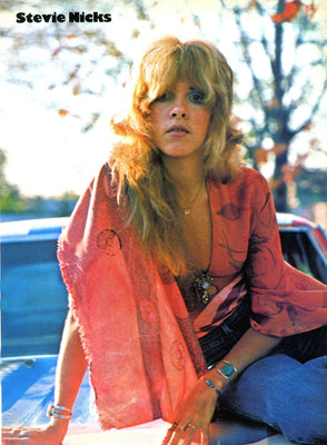 Stevie Nicks Poster 24x36 | The Poster Depot The Poster Depot