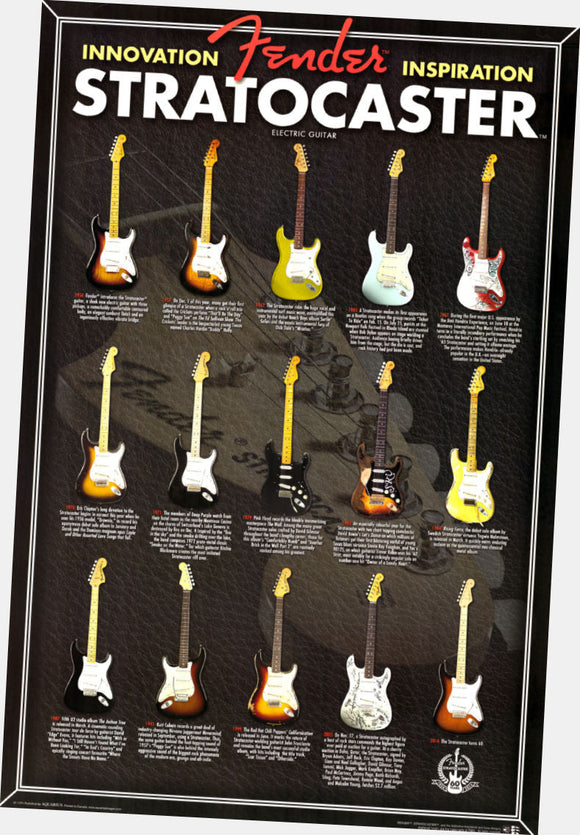 Fender Stratocaster Evolution Electric Guitar Chart poster for sale cheap United States USA