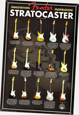 Fender Stratocaster Evolution Electric Guitar Chart Poster 27x40 27"x40" The Poster Depot