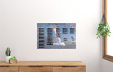 Submarines Movie Poster - 11"x17" The Poster Depot