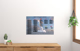 Submarines Movie Poster - 24"x36" The Poster Depot