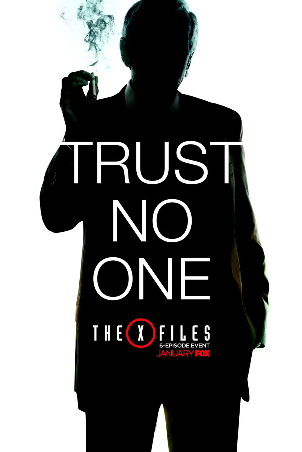 The X-Files Poster 11x17 Inch Print Wall Art Decor The Poster Depot