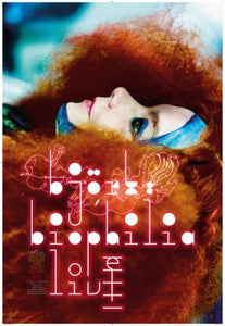 Bjork 11x17 poster for sale cheap United States USA