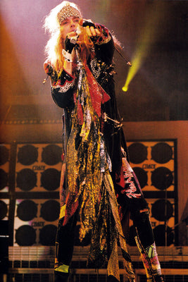 Brett Michaels 11x17 Poster The Poster Depot