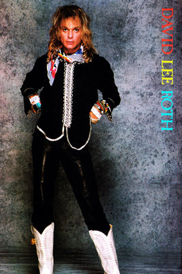 David Lee Roth 27x40 Poster The Poster Depot