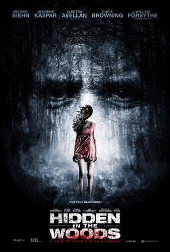 Hidden In The Woods Movie 11x17 poster for sale cheap United States USA