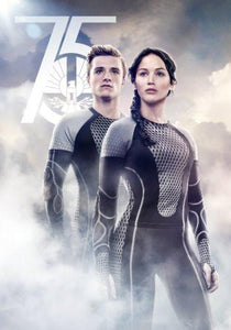 Hunger Games Catching Fire Movie 11x17 poster for sale cheap United States USA