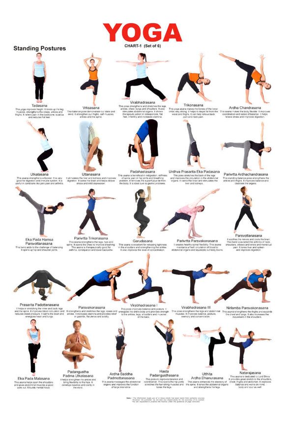 Yoga poster Standing Postures Positions for sale cheap United States USA