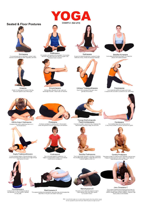 Yoga Positions Poster 27