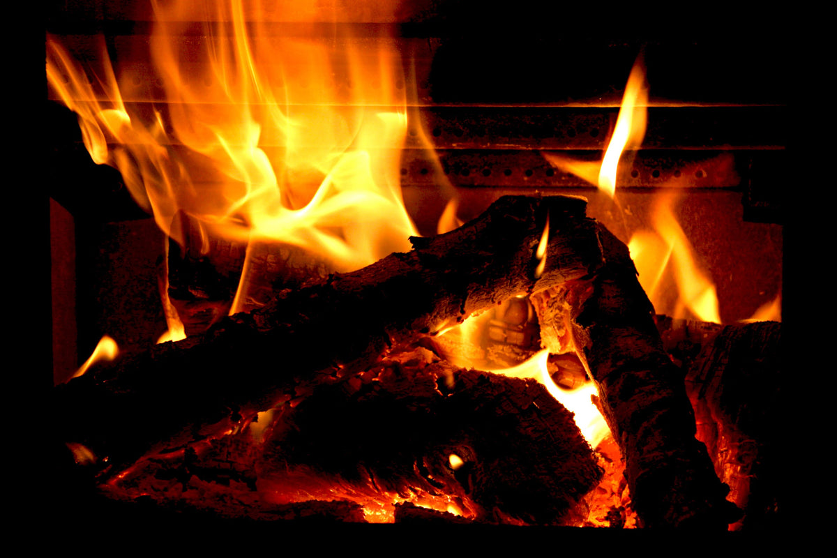 Yule Log Christmas Holiday Poster 24x36 24inx36in