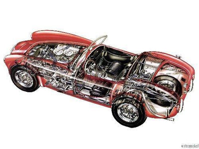 Ac Cobra Cutaway Metal Print 8in x 12in