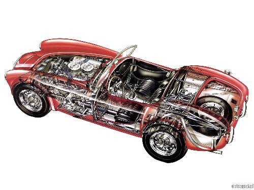 Ac Cobra Cutaway 11x17 poster Large for sale cheap United States USA